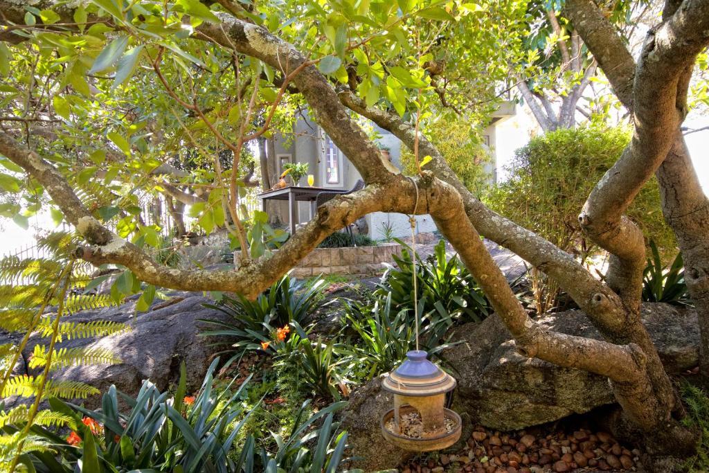 Loerie'S Call Guesthouse Mbombela ภายนอก รูปภาพ